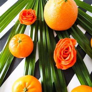 Meet your Posher, Rylee